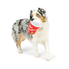 Huxley & Kent Huxley & Kent - Tim Snortons Coffee Dog Toy: Small