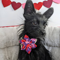 Huxley & Kent Bow Ties Convo Hearts Pinwheel Flower Pet Collar Attachment - 2 Sizes