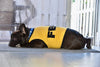 Parisian Pet® Tee's FBI Yellow Funny Costume Dog T-Shirt