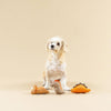 Pet Shop by Fringe Studio dog toys We Came We Saur Canvas Mini Dog Toy Set - 3pc
