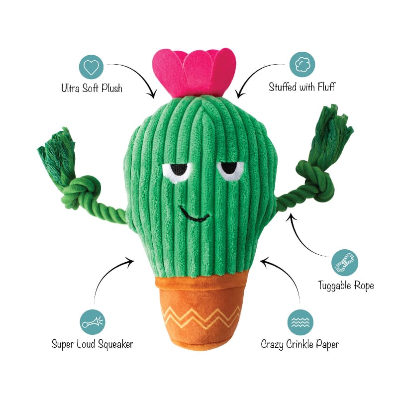 Petshop by Fringe Studio Dog Toys You Grow Chica! Spring Cactus Plush Squeak Dog Toy