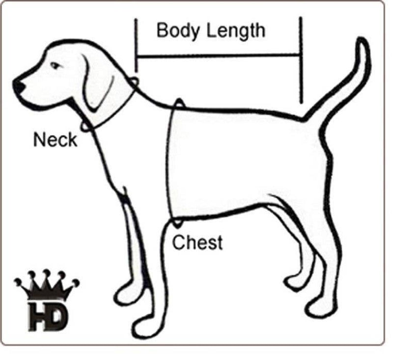 Barker's Bowtique Barker's Bowtique - May the Fetch be with You Dog Bandana - reversible: XS