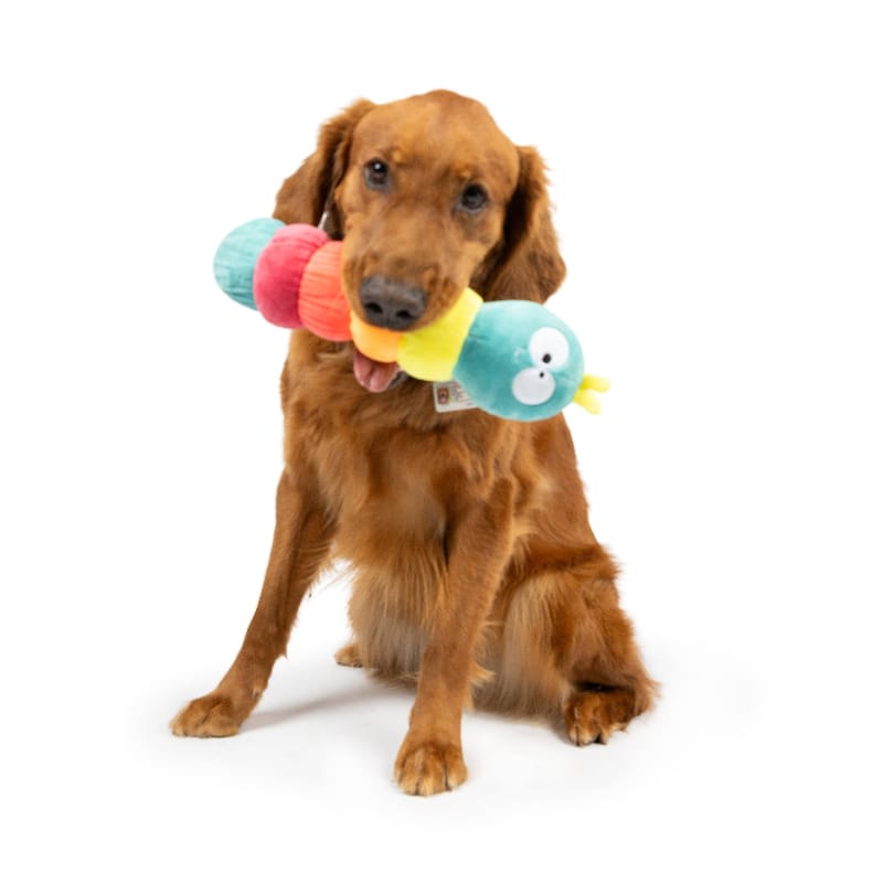 Huxley & Kent Dog Toys Fetchies Caterpillar Plush Squeak Dog Toy - 2 Sizes