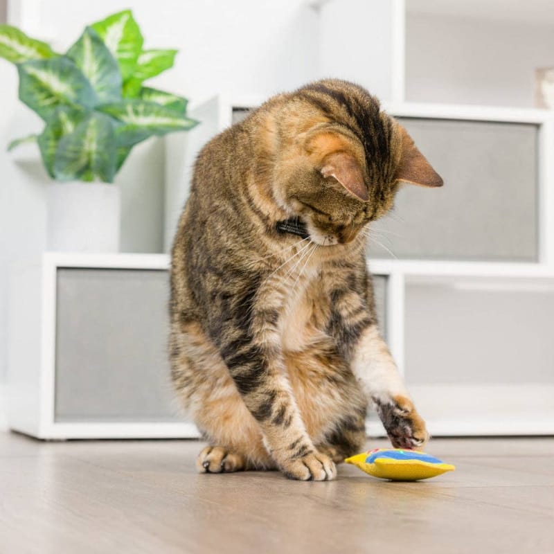 Huxley & Kent Cat Toys Sweetest Fish Cat Toy