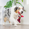 Christmas Reindeer Plush Squeaky Holiday Bone Dog Toy