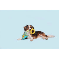 BARK dog toys Funflower Seeds Daisy Plush Rope Dog Toy