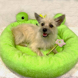 TONBO pet beds Frog Pet Bed and Wand Crinkle Toy