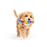 Huxley & Kent Dog Toys Tiny Tuff Equality Rainbow Plush Squeak Bone Dog Toy