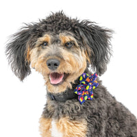 Huxley & Kent Bow Tie Summer Icons Pinwheel Pet Collar Attachment - 2 Sizes