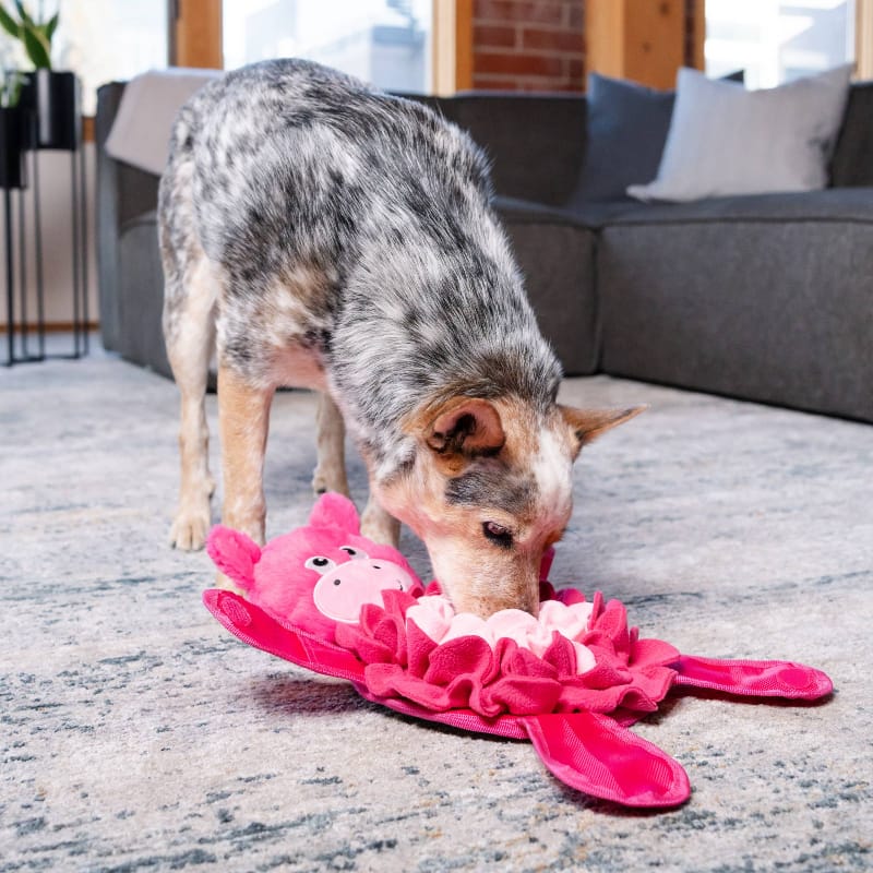 Outward Hound dog toys Snuffle Palz Pink Pig Interactive Treat Puzzle Dog Toy