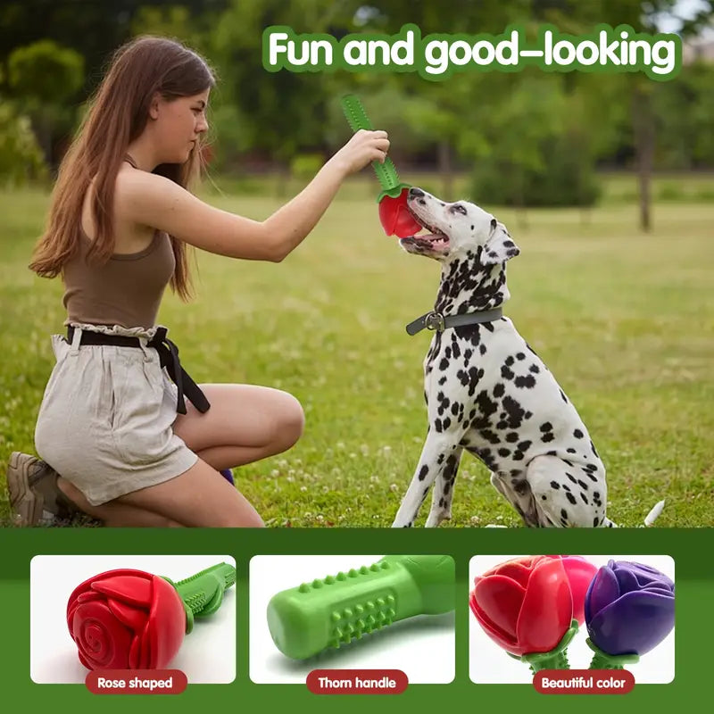 TM - YM PET dog toys Durable Rubber Red Rose Flower Squeaker Chew Dog Toy
