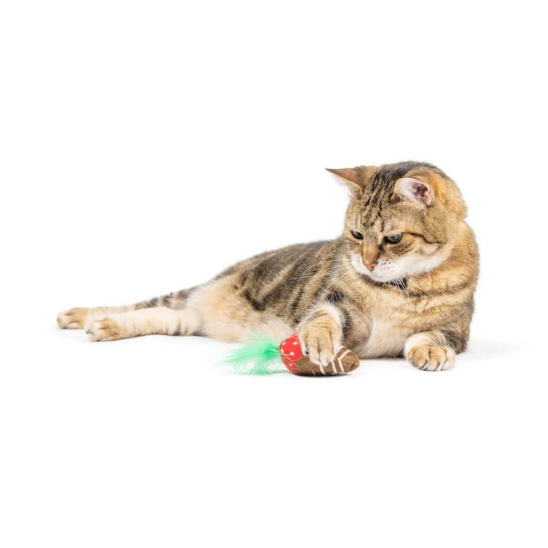 Huxley & Kent Cat Toys Chocolate Strawberry Cat Toy