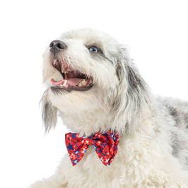 Huxley & Kent Huxley & Kent - Patriot Stars Bow Tie: Small