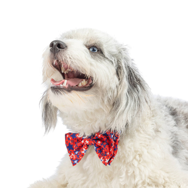 Huxley & Kent Huxley & Kent - Patriot Stars Bow Tie: Small