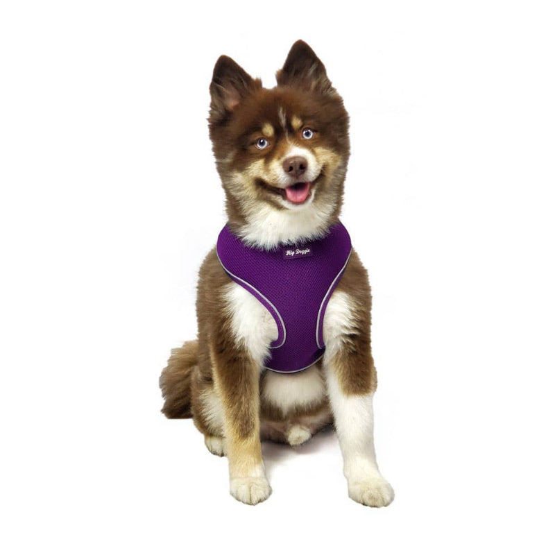 Barker's Bowtique Barker's Bowtique - Hip Doggie-Old Header Cards- Ultra Comfort Harness-Purple: XS