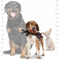 Tuffy Dog Toys - VIP Products dog toys Tuffy Desert Spider Durable Tough Squeaky Dog Toy