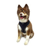Barker's Bowtique Barker's Bowtique - Hip Doggie-Old Header Cards- Ultra Comfort Harness-Black: XS
