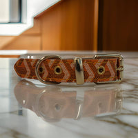BARK by DOG Collars Morel Orange Luxury Pet Collar