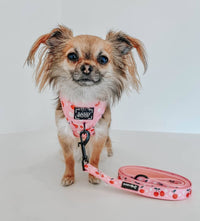 SASSY WOOF Leashes Mon Cherry (Fruits) Pink Dog Leash