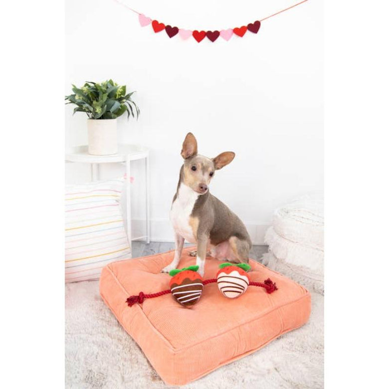 Pearhead, Inc. dog toys You're Berry Cute Strawberry Rope Plush Squeak Valentine's Dog Toy