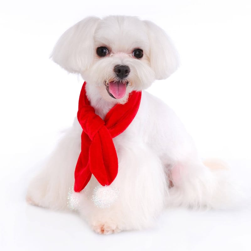 Pooch Outfitters Dog Apparel Santa Paws Holiday Red Velvety Dog Scarf with Sparkle Fuzzy Pom Poms