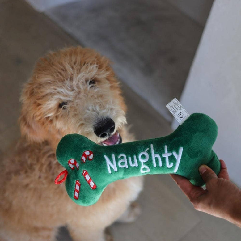 Huxley & Kent Huxley & Kent - Naughty Nice Bone Dog Toy: Large