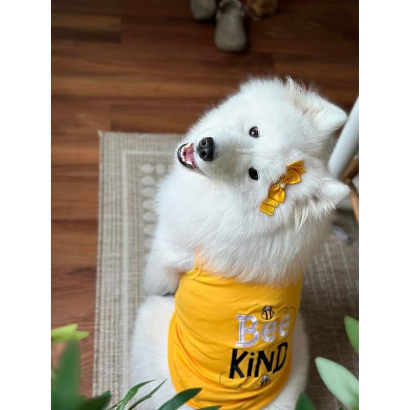 Parisian Pet® Tee's Bee Kind Spring Yellow Dog T-Shirt