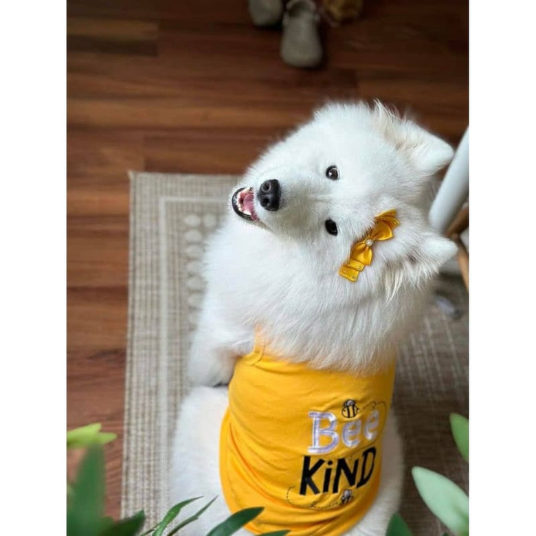 Parisian Pet® Tee's Bee Kind Spring Yellow Dog T-Shirt