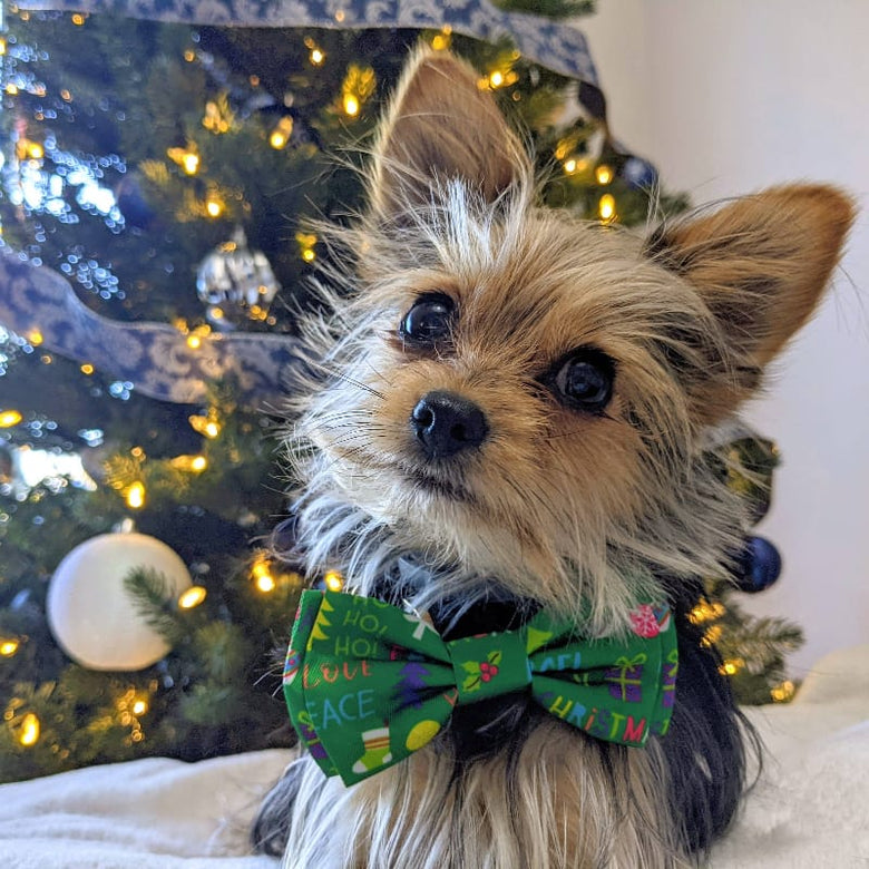 Huxley & Kent Bow Tie Merry & Bright Festive Holiday Pet Bow Tie - 3 Sizes