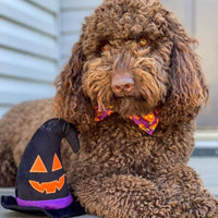 Huxley & Kent dog toys Spooky Witch Hat Plush Squeaky Dog Toy