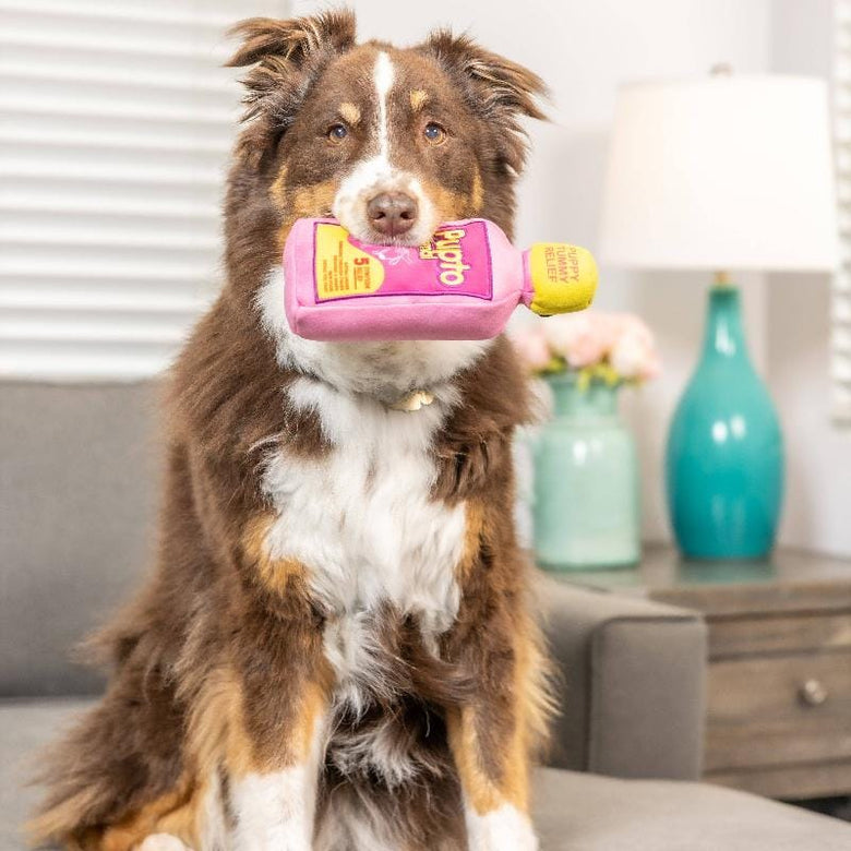 Huxley & Kent dog toys Pupto Dismal Plush Dog Toy - 2 Sizes