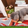 Hugsmart Products Inc dog toys Picnic Time Yappy Yum Plush Dog Toy Set - 3 Pc