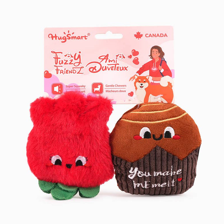 Hugsmart Products Inc Dog Toys Woof Love Chocolate & Rose Plush Squeak Dog Toy Set - 2 Pc