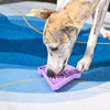 Hugsmart Products Inc Bowls - Feeders Ice-Cream Purple Slowfeeder Dog Lick Mat