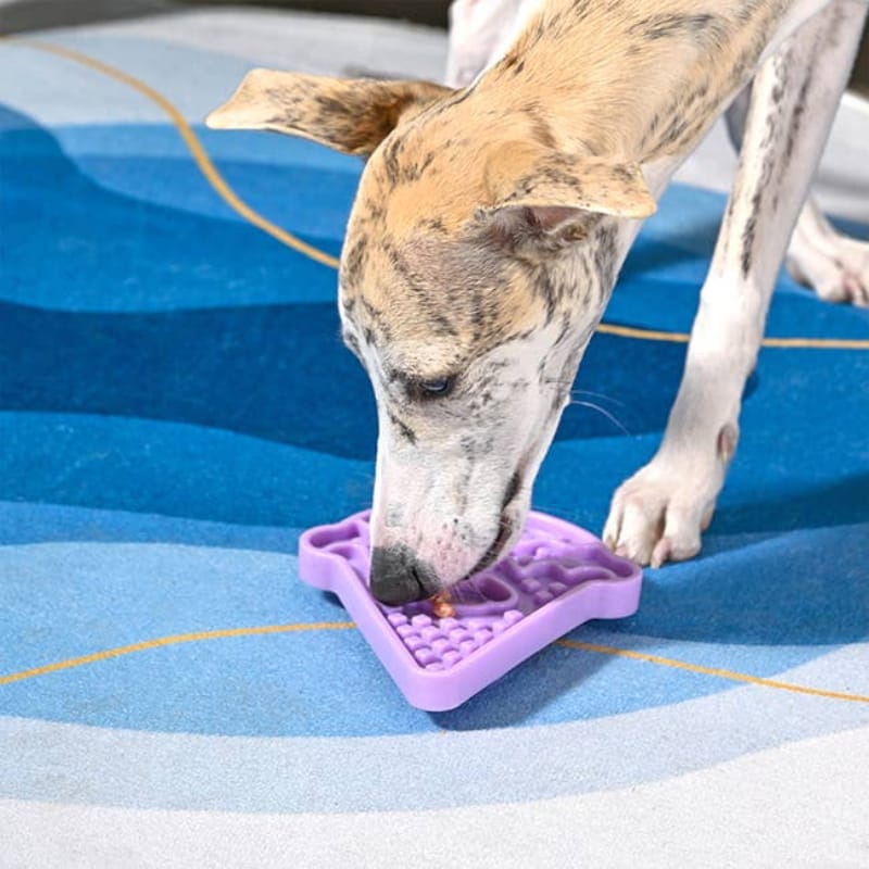 Hugsmart Products Inc Bowls - Feeders Ice-Cream Purple Slowfeeder Dog Lick Mat
