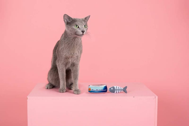 Pet Shop by Fringe Studio Cat Toys Tuna Right Meow Cat Toy Set - 2pc