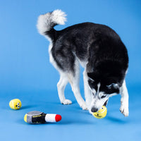 Serving Aces Tennis Sports Plush Squeaky Dog Toy Set - 3 Pc