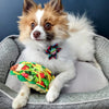 Huxley & Kent Bow Tie Serape Stripe Colorful Pinwheel Pet Collar Attachment -2 Sizes