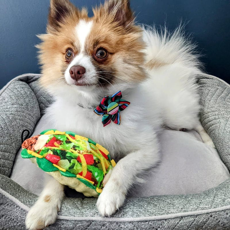 Huxley & Kent Bow Tie Serape Stripe Colorful Pinwheel Pet Collar Attachment -2 Sizes