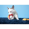 BARK dog toys Chew Mein & Furtune Cookie Rope Plush Interactive Dog Toy - 2 Pc