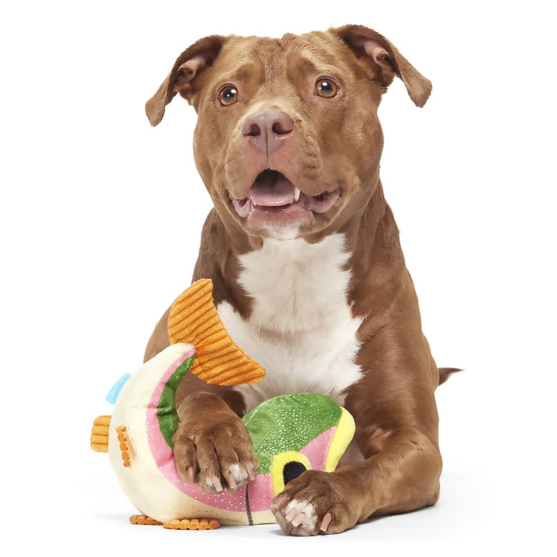 BARK dog toys Brooke Trout Colorful Plush Squeak Dog Toy