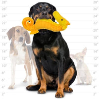 VIP Products/Tuffy dog toys Jr Tuffy Ocean Creature Series Sarafina Seahorse Durable Tough Yellow Dog Toy - Jr Size
