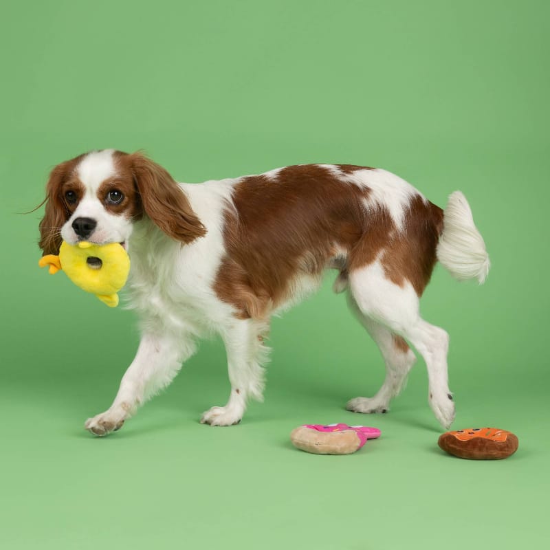 Petshop by Fringe Studio dog toys Easter Holey Donuts Spring Plush Squeak Small Dog Toy Set - 3 Pc