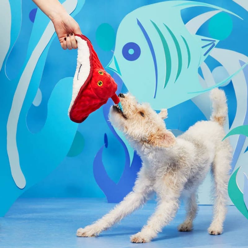 BARK dog toys Sting Crosby the Ray Red Plush Squeaky Rope Dog Toy
