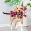 Christmas Reindeer Plush Squeaky Holiday Bone Dog Toy