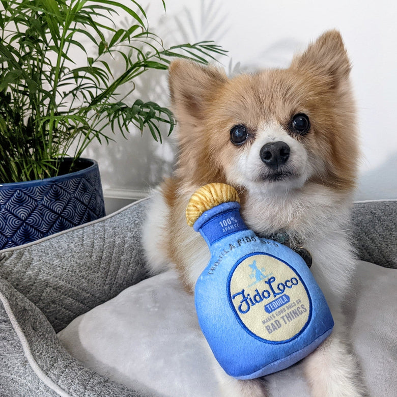 Fido Loco Squeak Plush Squeaky Dog Toy - 2 Sizes