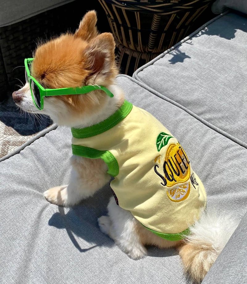 Parisian Pet® Tee's Lemons Squeeze Me Yellow Green Dog T-Shirt