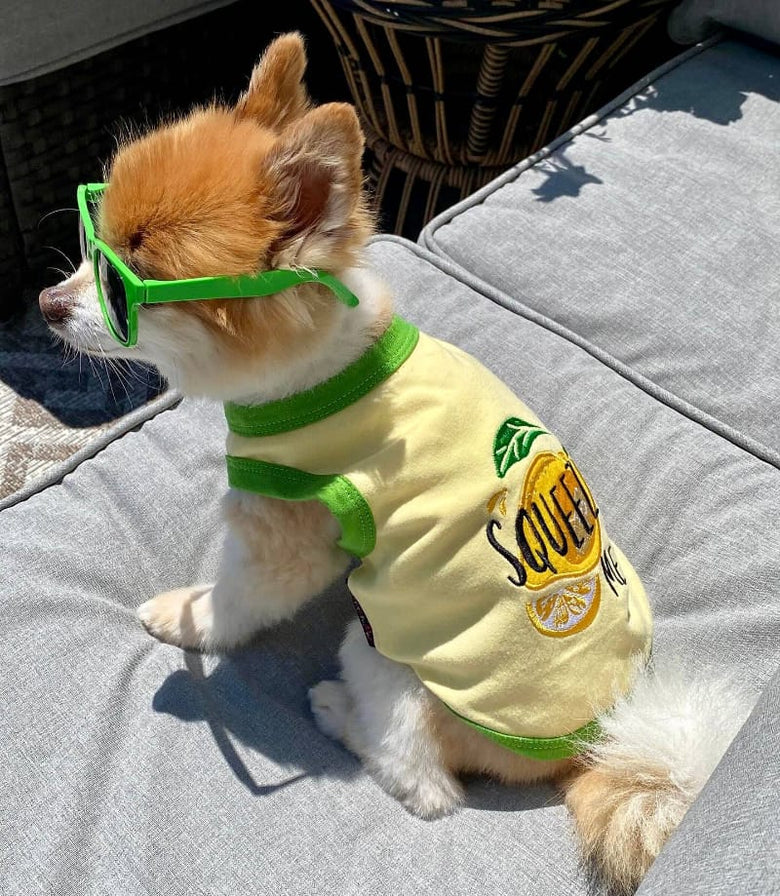 Parisian Pet® Tee's Lemons Squeeze Me Yellow Green Dog T-Shirt
