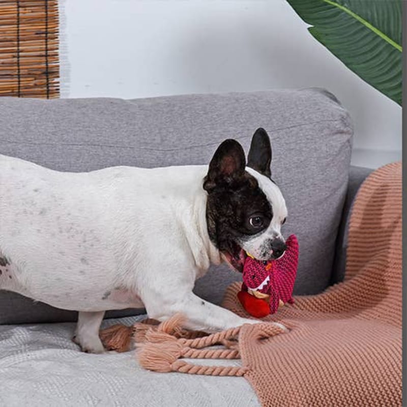 Hugsmart Products Inc dog toys Fuzzy Friendz Mesh Dinosaur Heart Rexy Squeak Dog Toy - 2 sizes