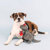 PetShop by Fringe Studio dog toys Rocker Masked Rex Red Guitar Plush Squeak Dog Toy